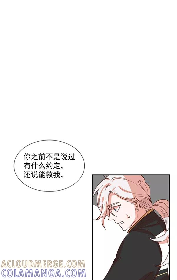 《恶魔的银杏》第43话 第13页