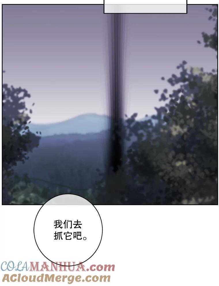 《我在小说里当无赖》105.绿羊的山脊（2） 第70页