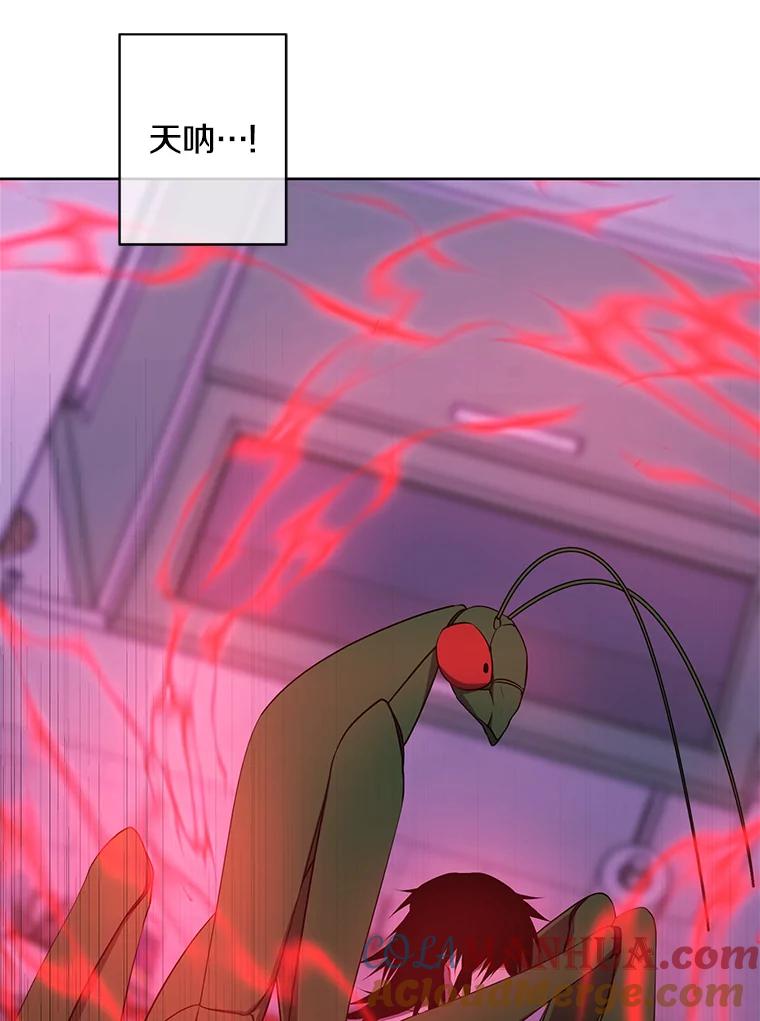《我在小说里当无赖》111.克拉克 第7页