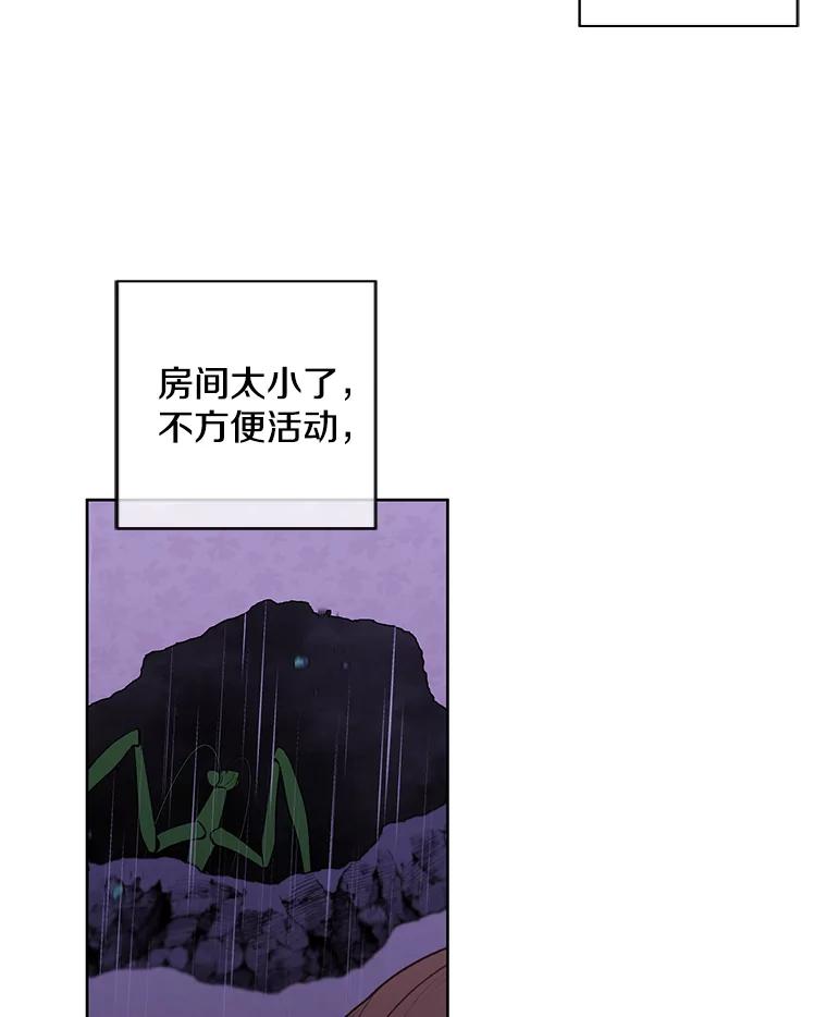 《我在小说里当无赖》112.既定的死亡 第5页