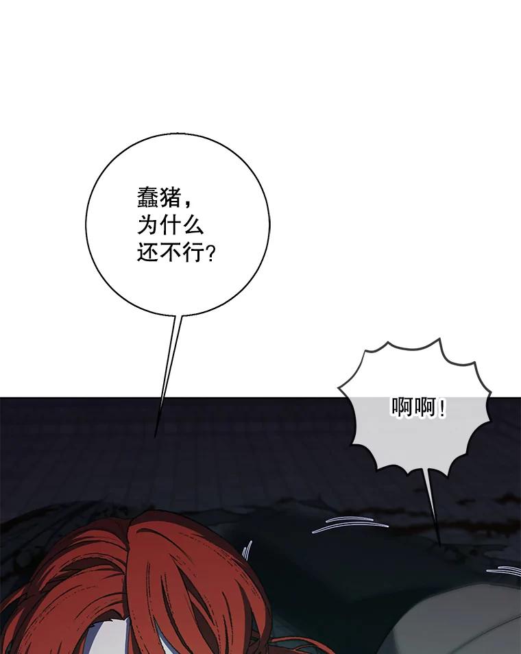 《我在小说里当无赖》137.另一个战场 第36页