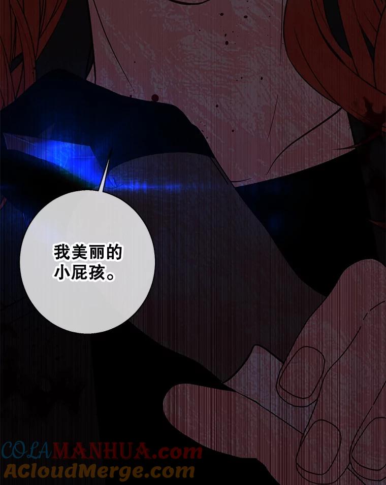 《我在小说里当无赖》142.黑罗王的陨落 第97页