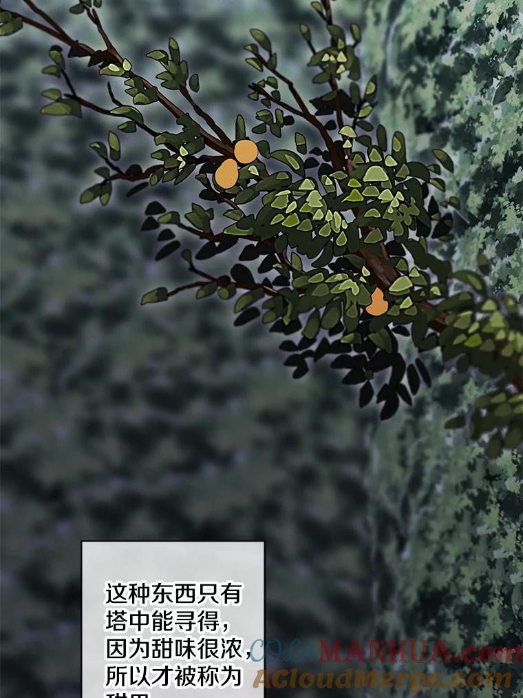 《我在小说里当无赖》149.一层的攻略法 第37页