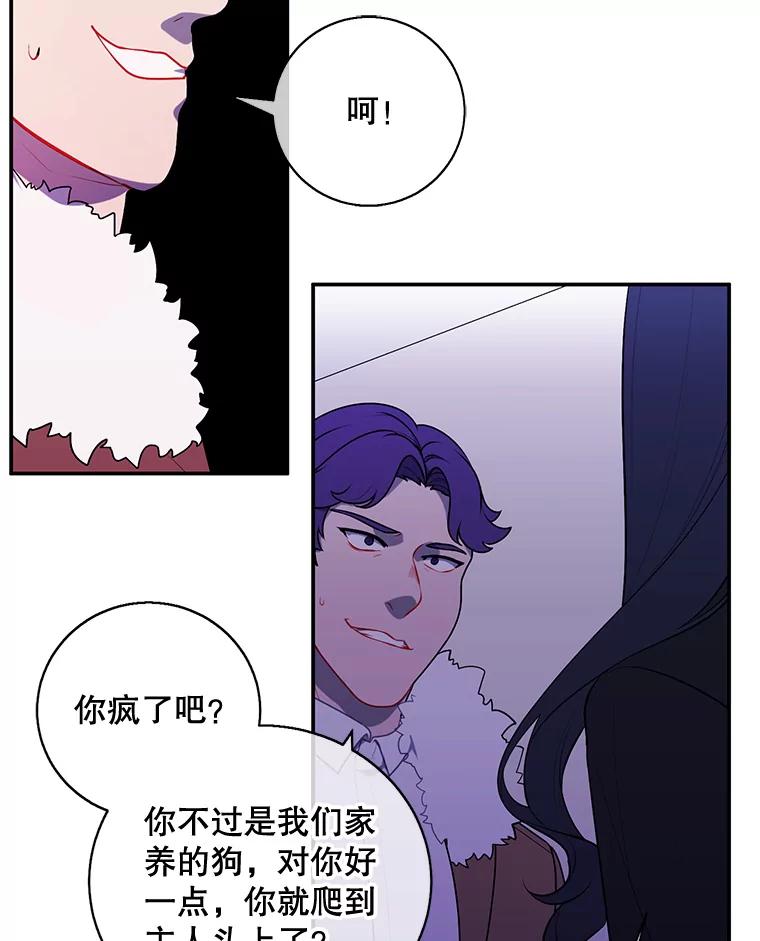 《我在小说里当无赖》14.成为猎人 第69页