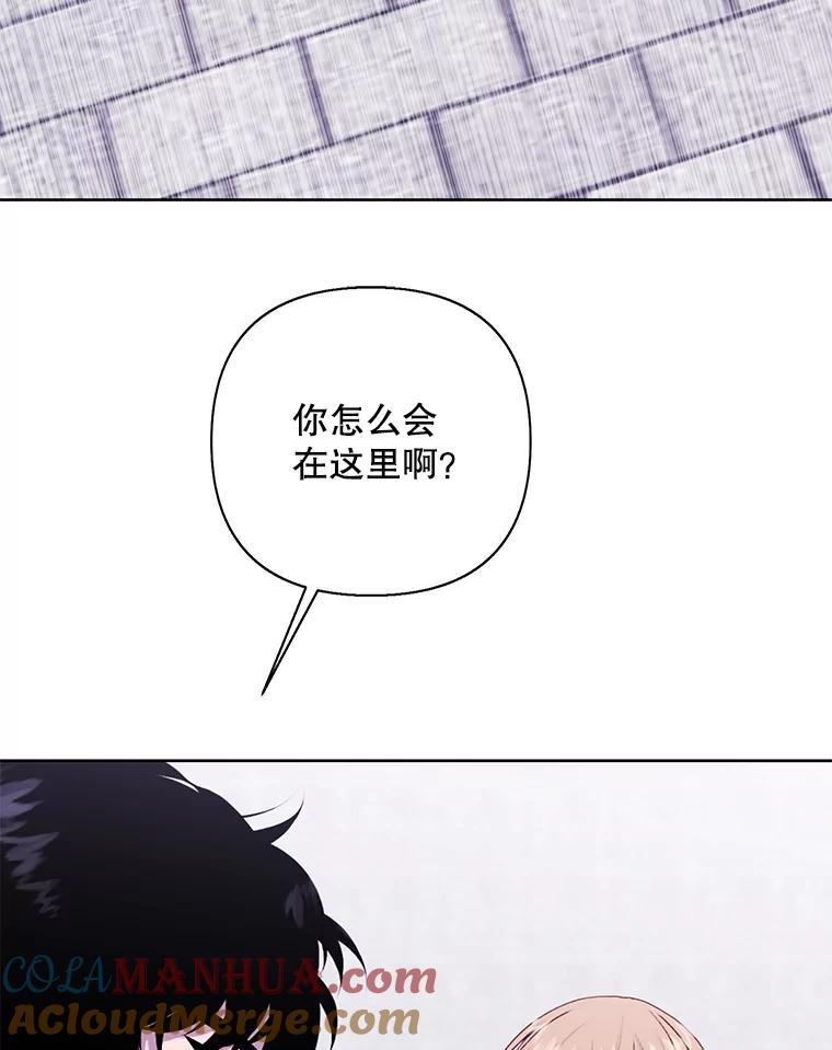 《我在小说里当无赖》159.新的搭档 第58页
