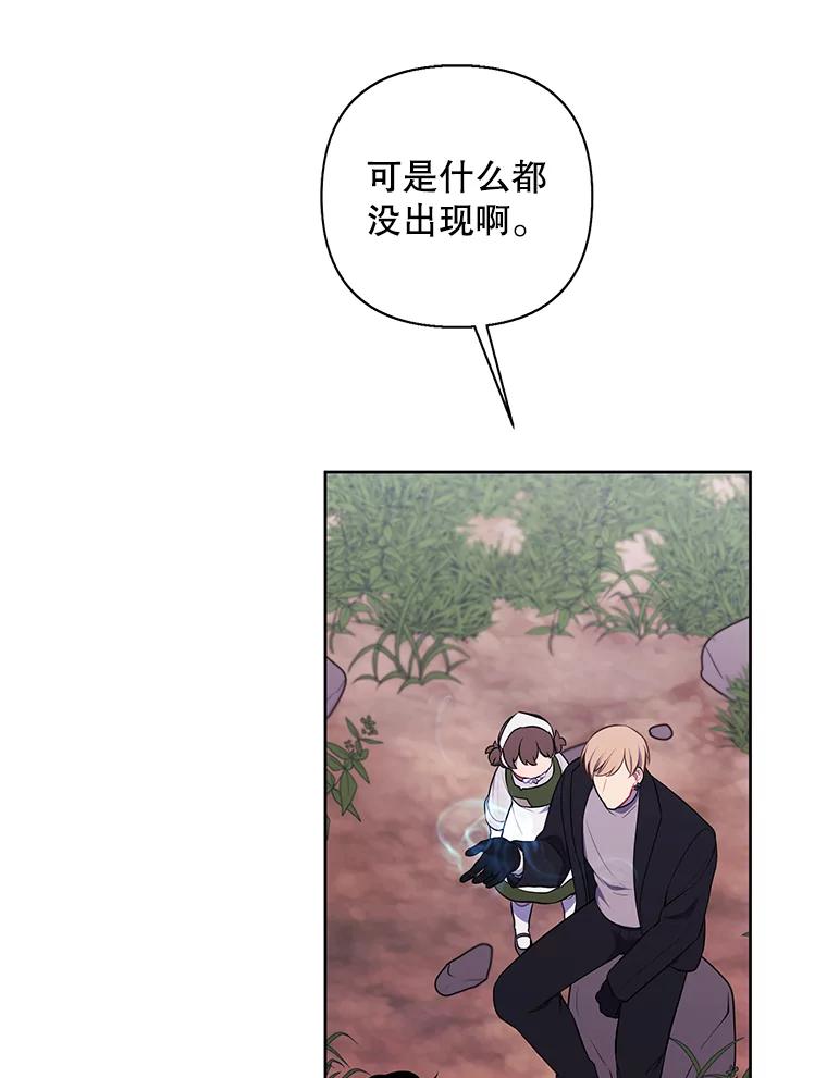 《我在小说里当无赖》163.学习魔法 第36页