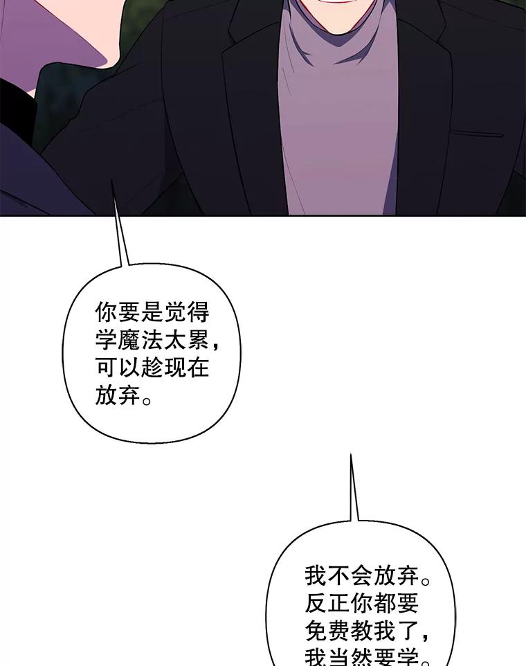 《我在小说里当无赖》163.学习魔法 第41页
