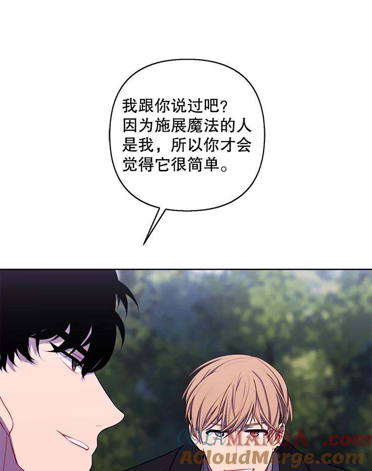 《我在小说里当无赖》163.学习魔法 第40页
