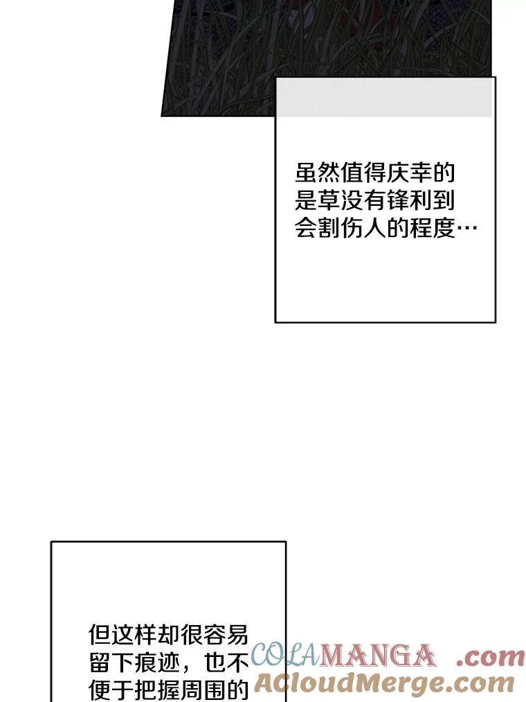 《我在小说里当无赖》171.寻找龙蛋（2） 第37页