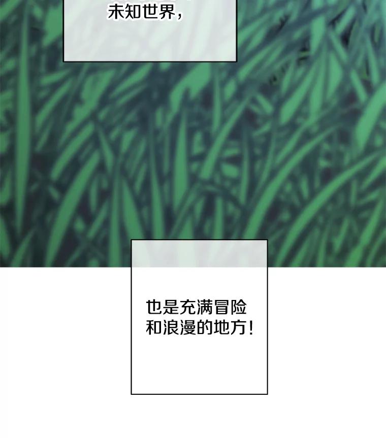 《我在小说里当无赖》16.1级地下城 第45页