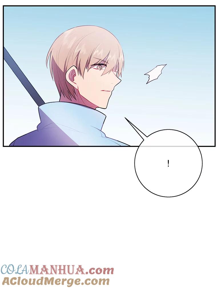 《我在小说里当无赖》25.沙将 第49页