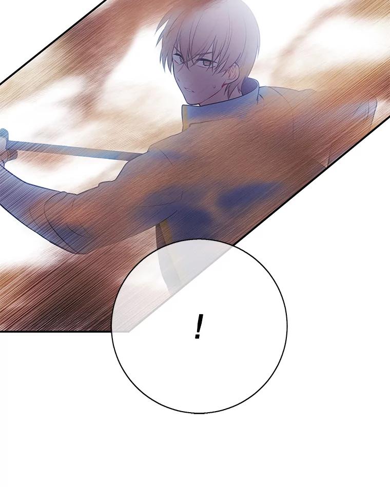 《我在小说里当无赖》25.沙将 第86页