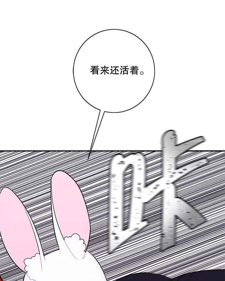 《我在小说里当无赖》36.兔子 第75页