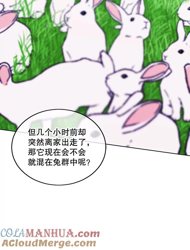 《我在小说里当无赖》55.离家出走的兔子 第97页
