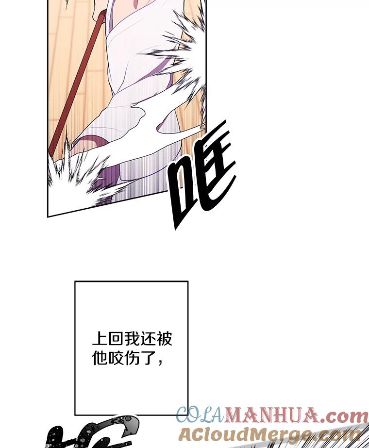 《我在小说里当无赖》58.神之查克拉 第73页
