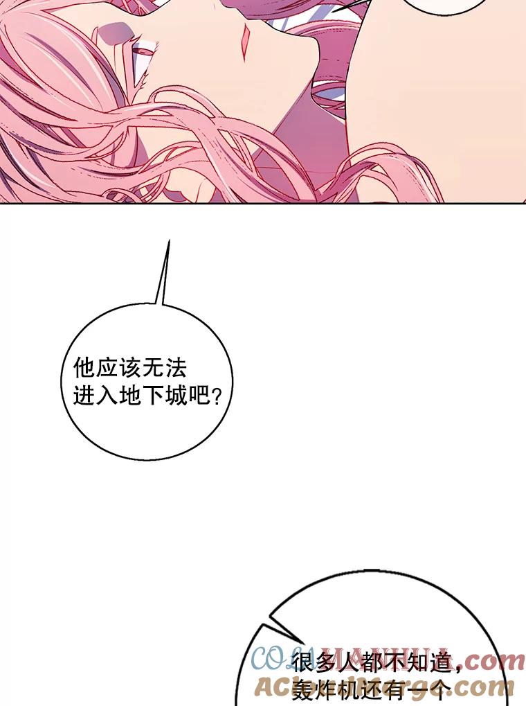 《我在小说里当无赖》61.轰炸机 第63页