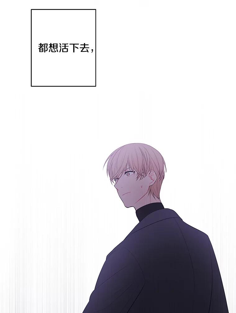 《我在小说里当无赖》79.伤亡 第50页