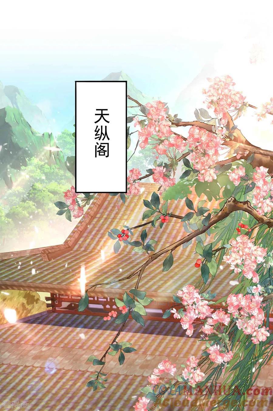 我在异界养男神：神医九小姐 第105话 组队 第27页