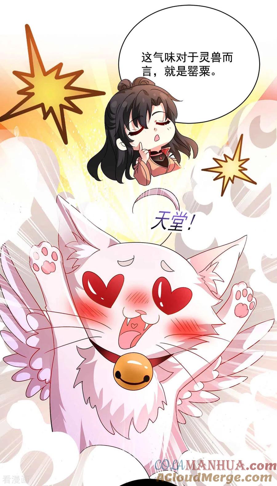 我在异界养男神：神医九小姐 第109话 二级灵兽 第3页