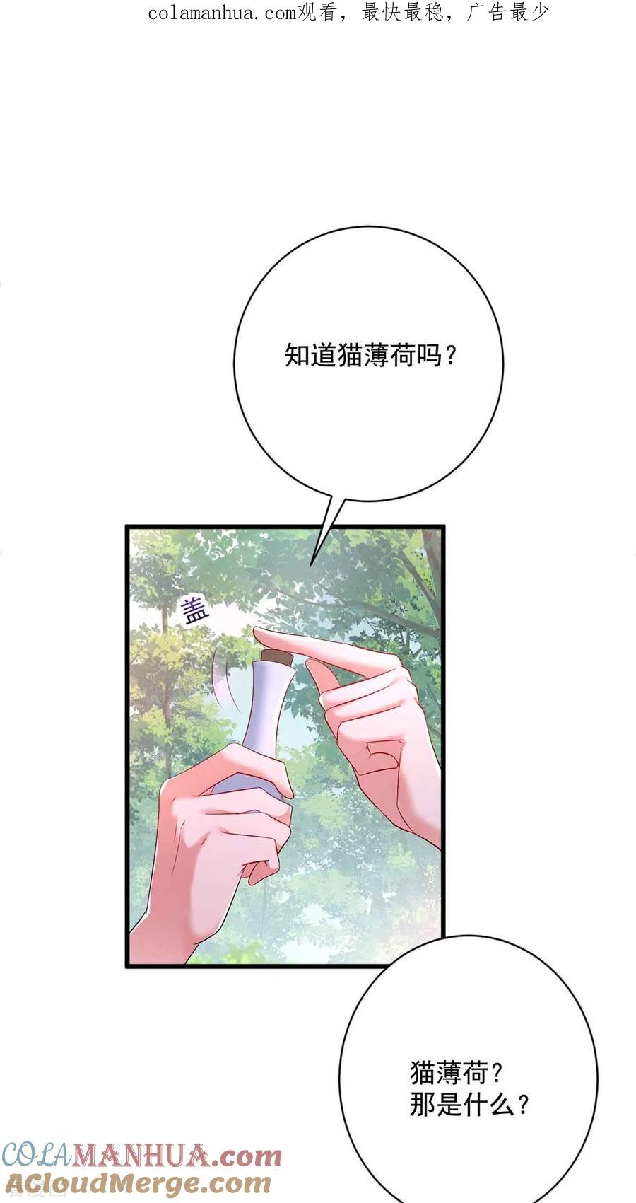 我在异界养男神：神医九小姐 第109话 二级灵兽 第1页