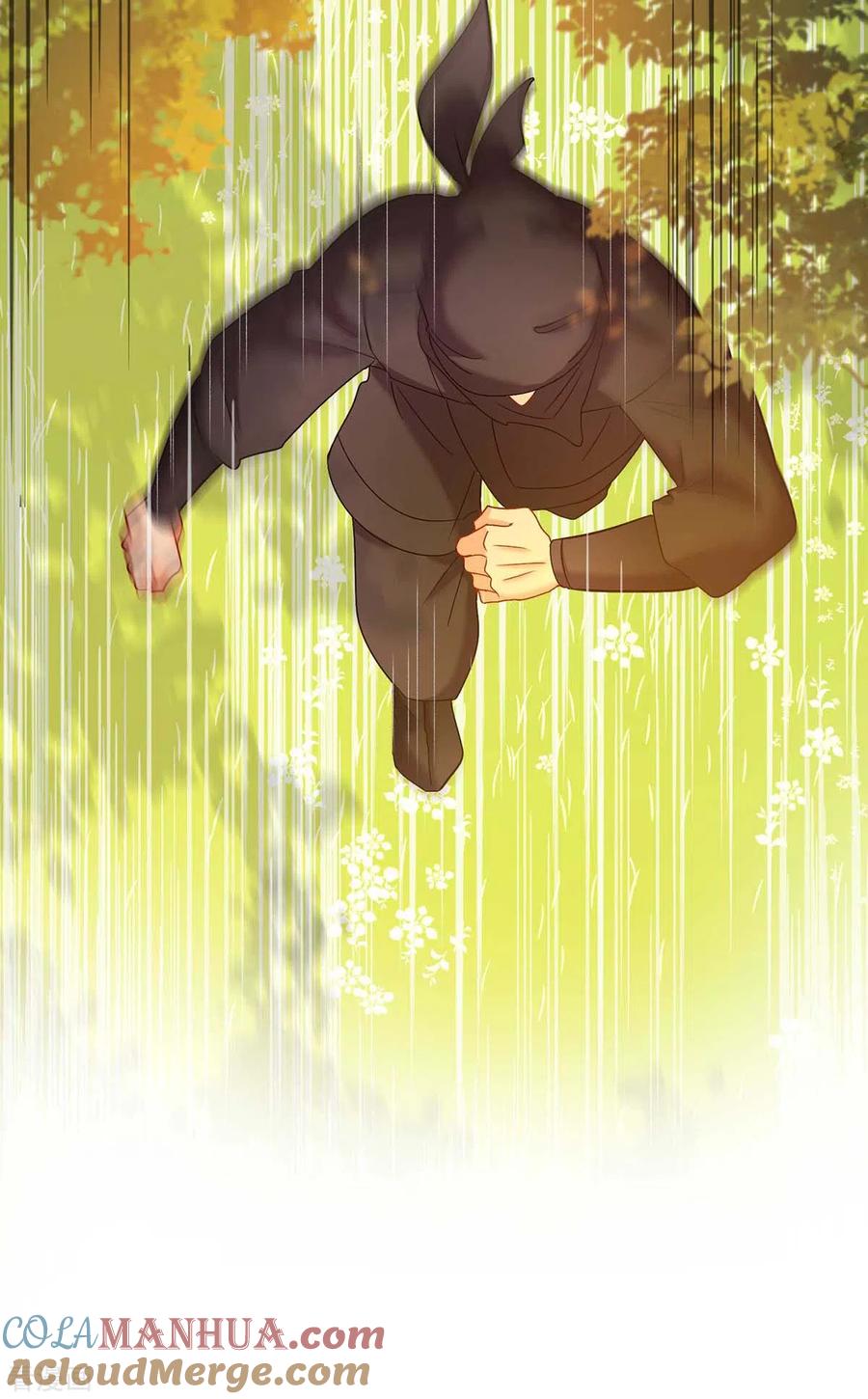 我在异界养男神：神医九小姐 第110话 暗杀 第17页