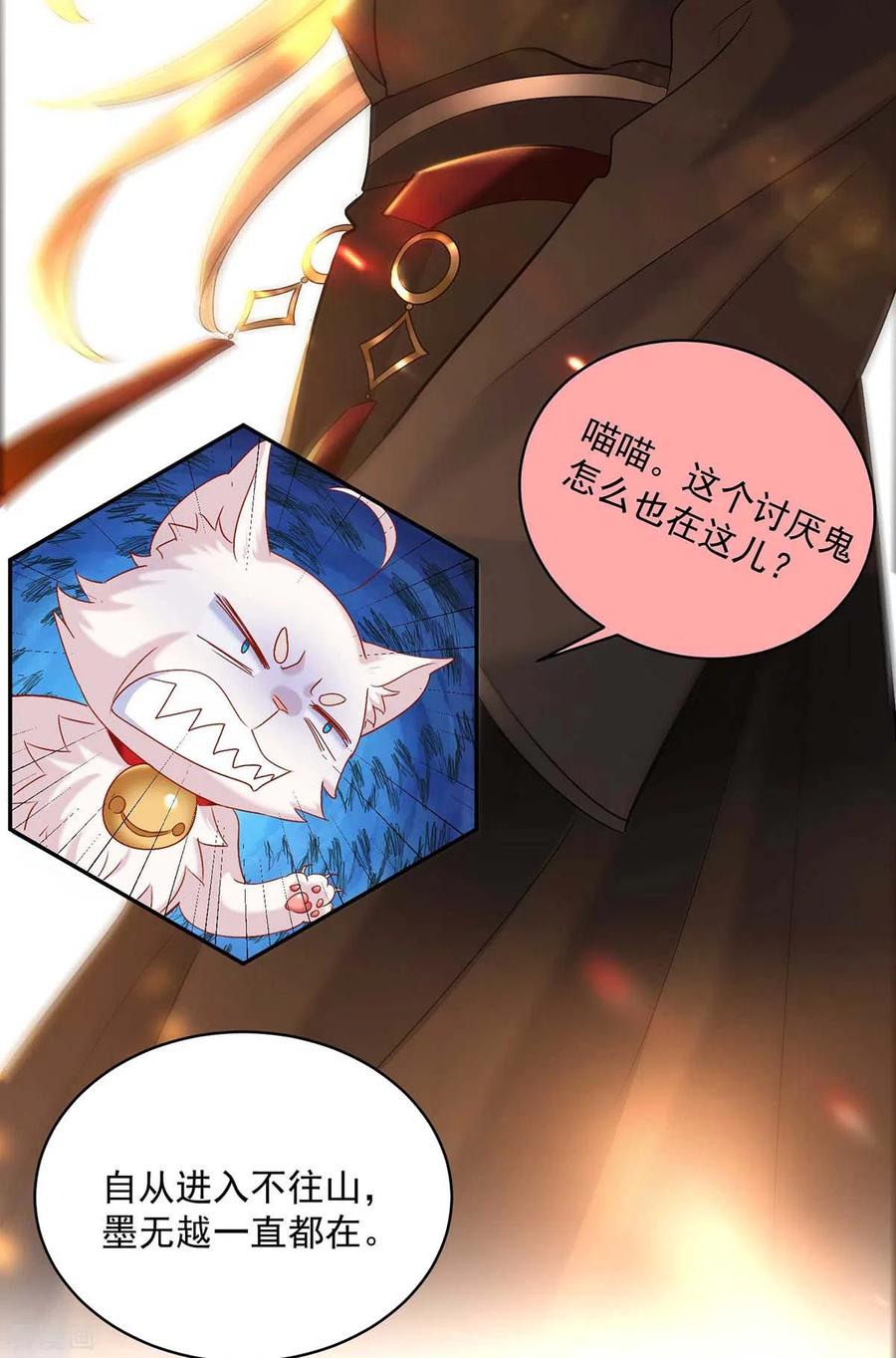 我在异界养男神：神医九小姐 第111话 墨无越来历 第12页
