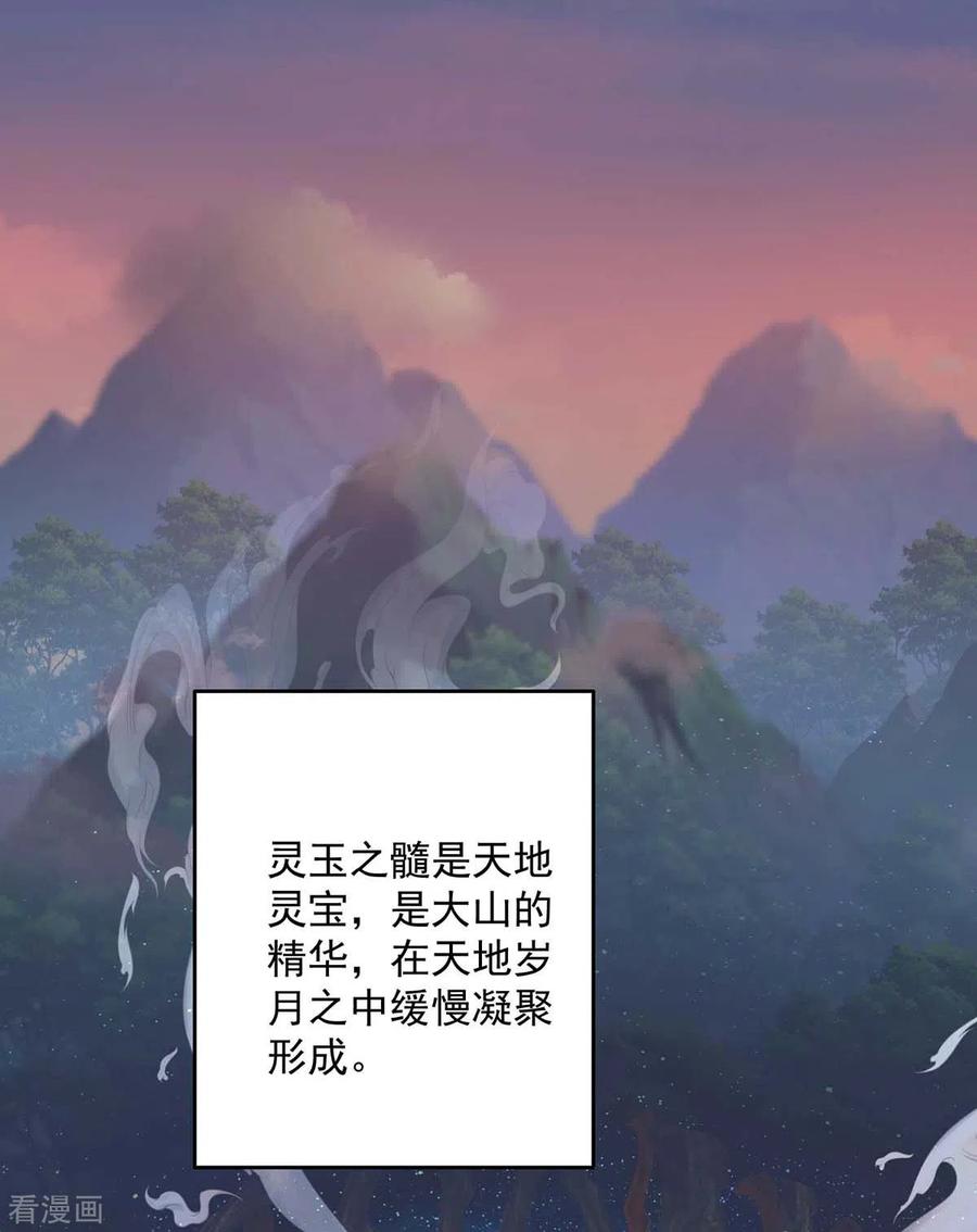 我在异界养男神：神医九小姐 第130话 灵玉之髓 第30页