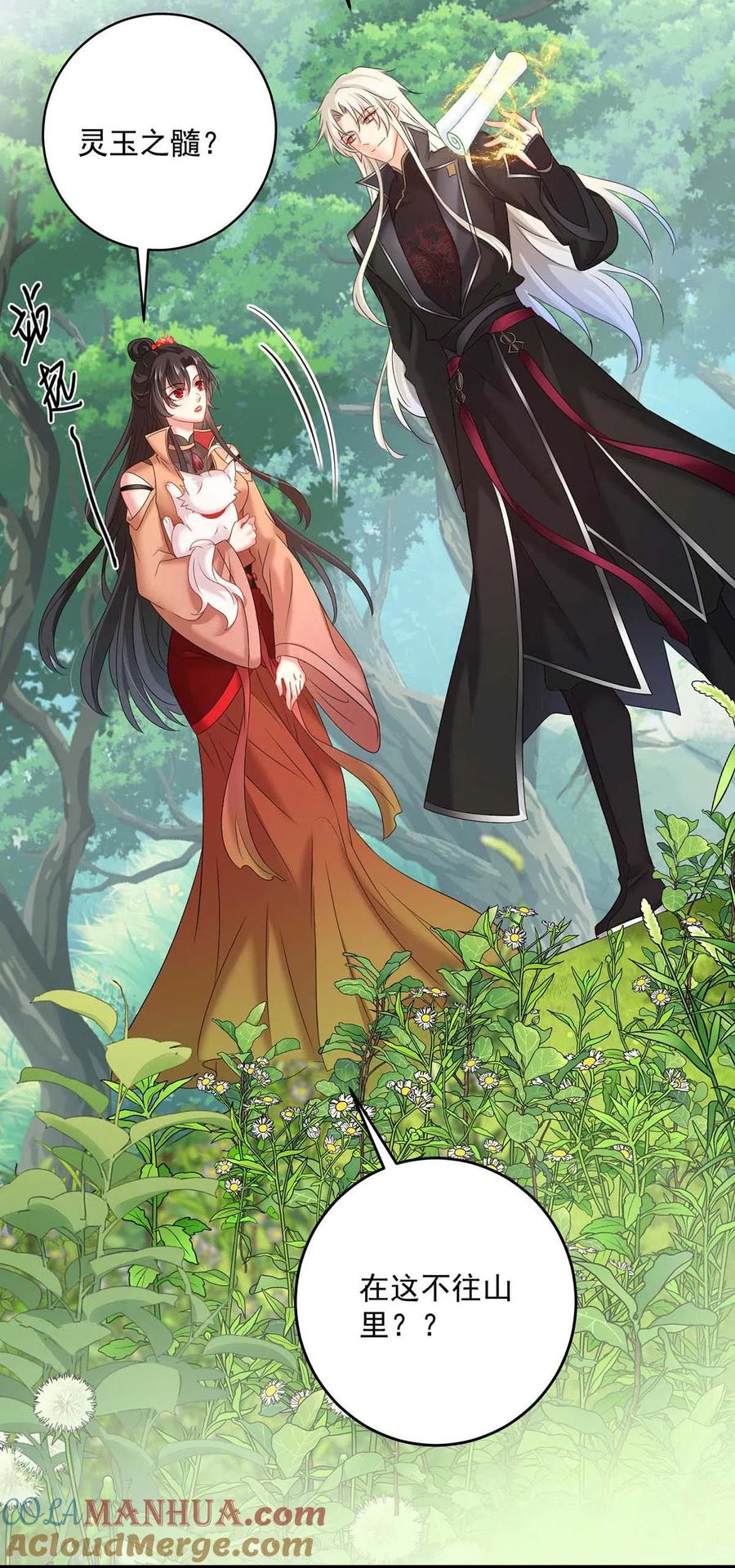 我在异界养男神：神医九小姐 第130话 灵玉之髓 第29页