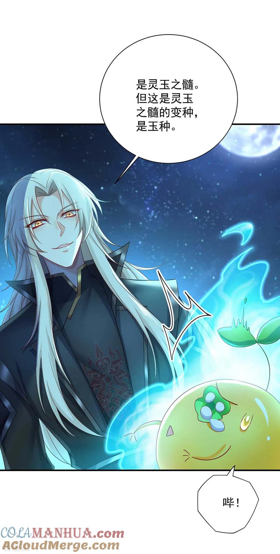 我在异界养男神：神医九小姐 第136话 玉种 第25页