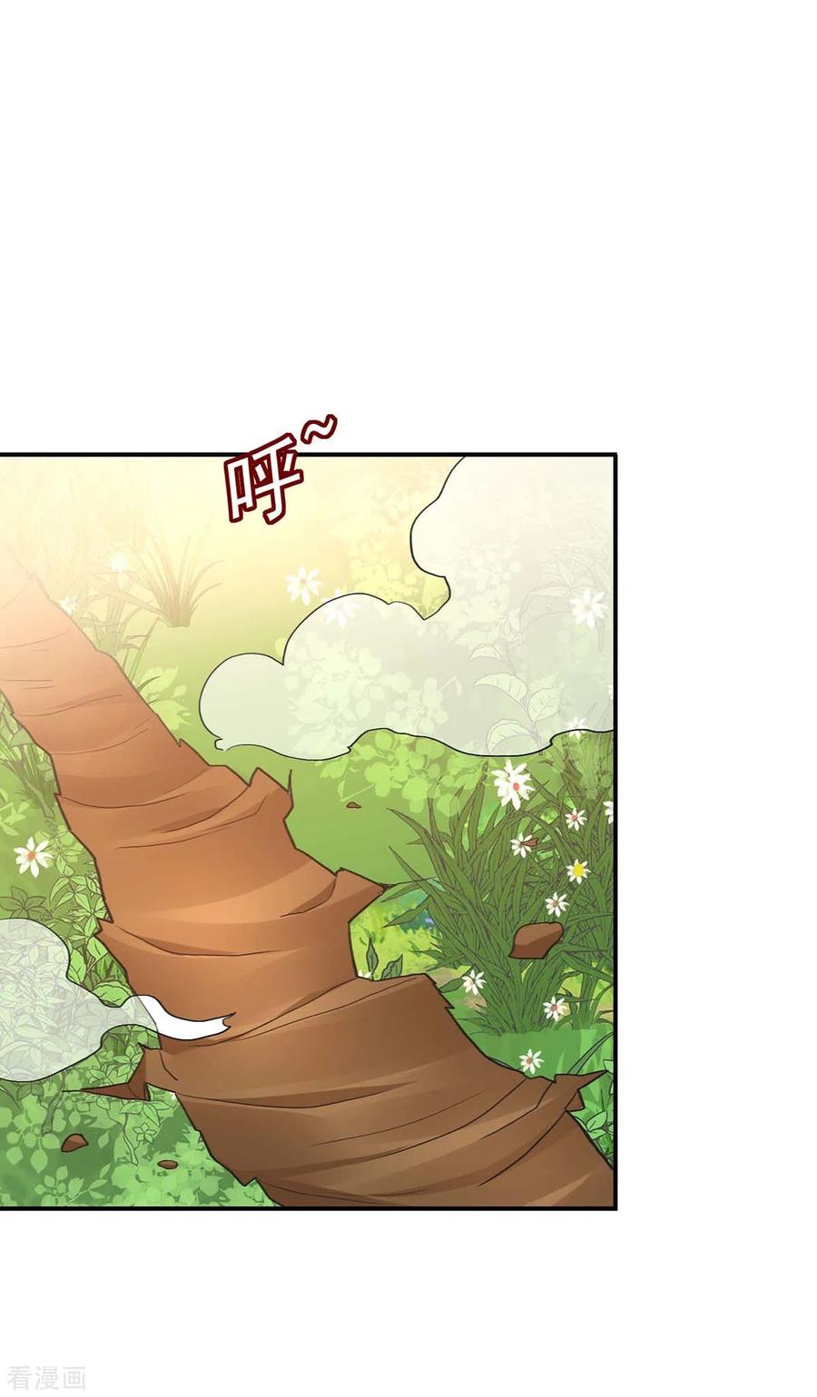 我在异界养男神：神医九小姐 第146话 心剑 第20页