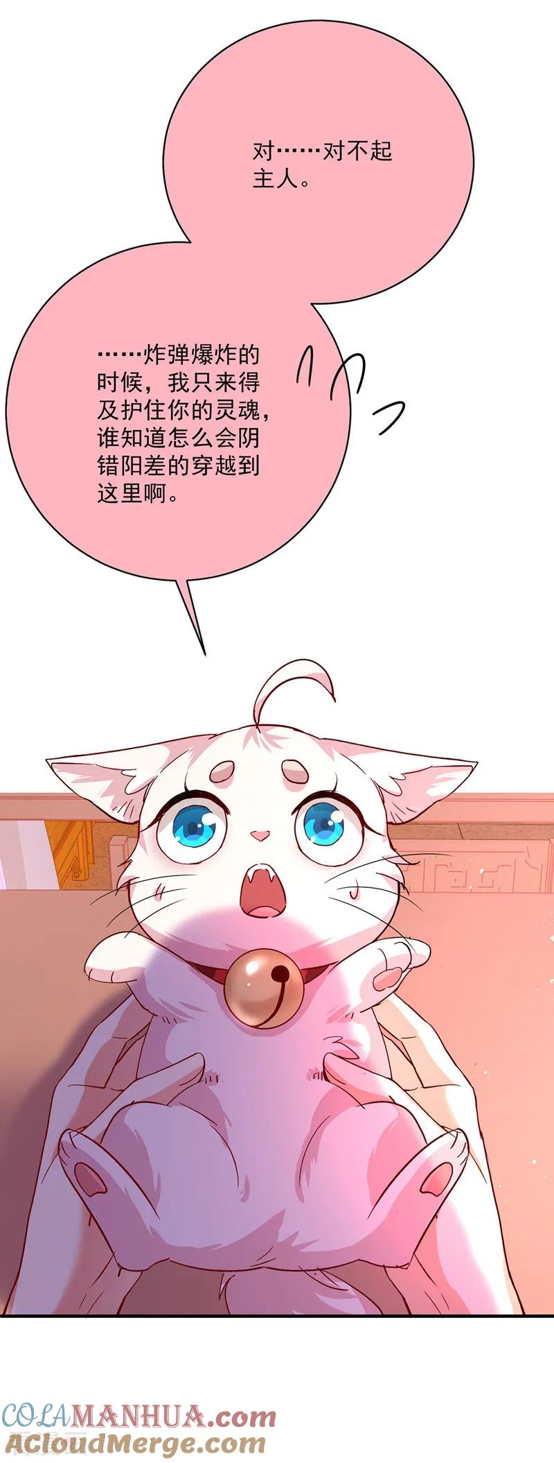 我在异界养男神：神医九小姐 第14话 原主前生 第11页