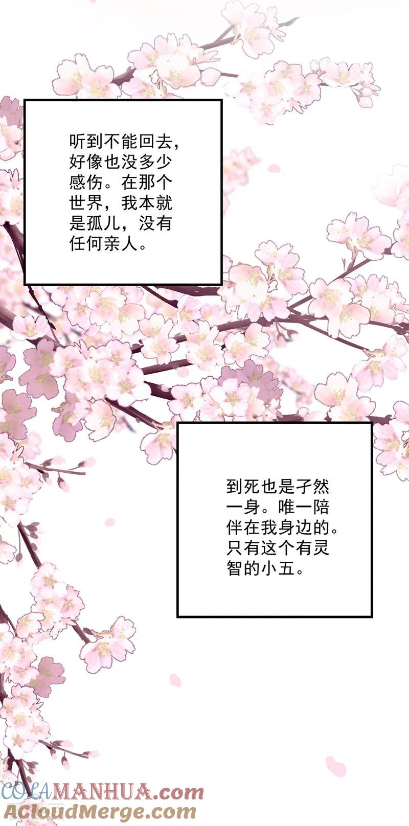 我在异界养男神：神医九小姐 第14话 原主前生 第15页