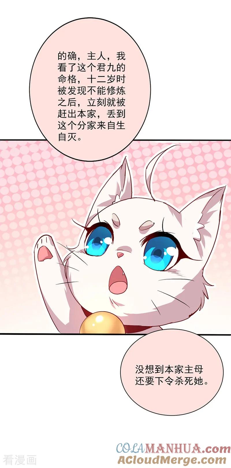 我在异界养男神：神医九小姐 第14话 原主前生 第17页