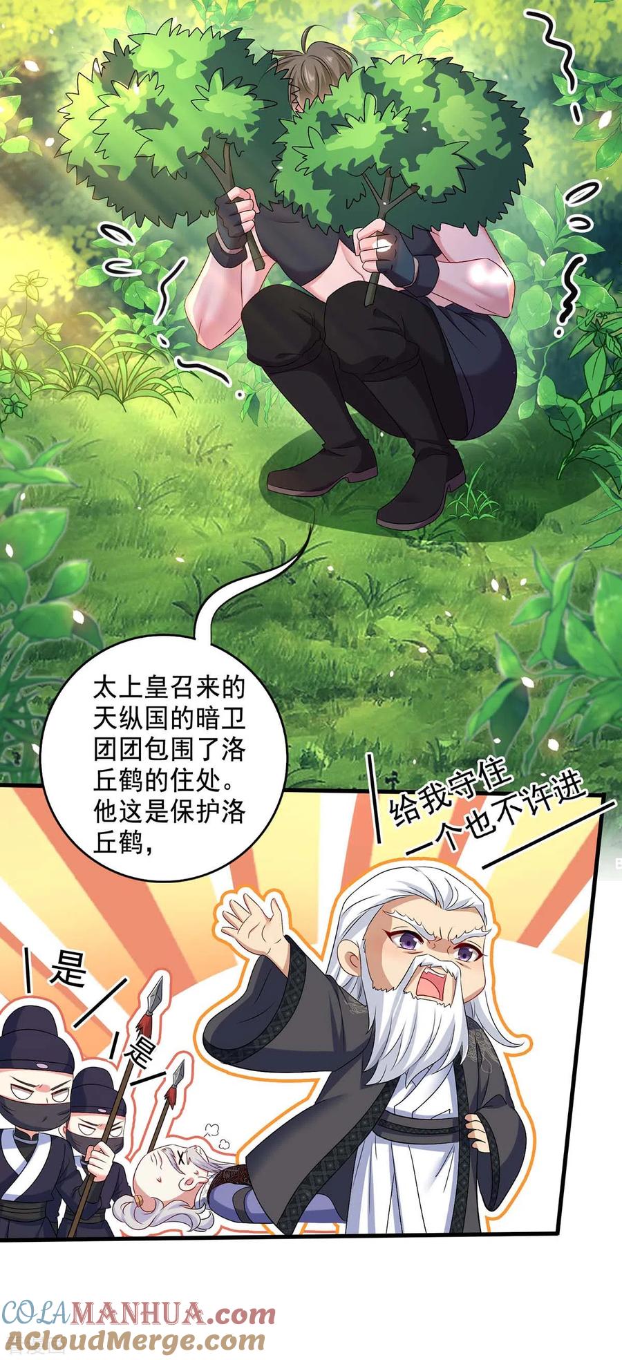 我在异界养男神：神医九小姐 第149话 前因后果 第23页