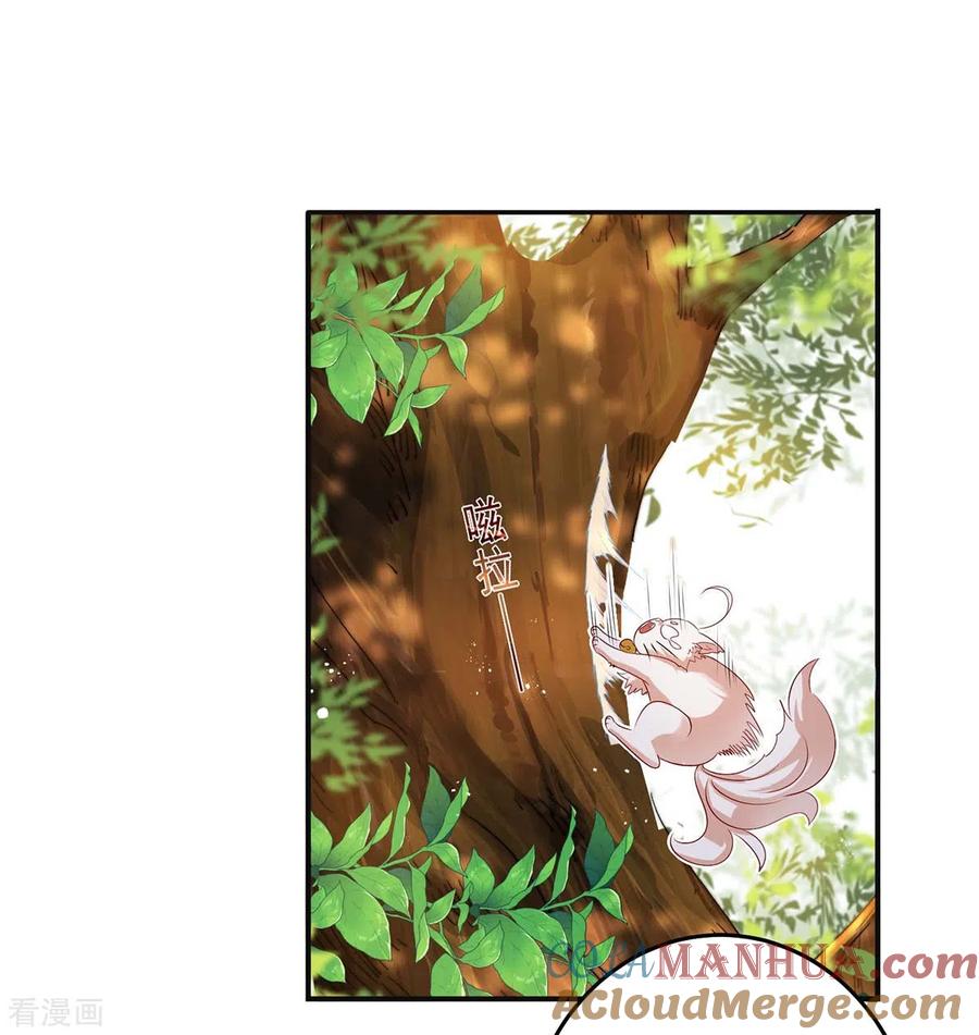 我在异界养男神：神医九小姐 第156话 我的时间都属于你 第9页