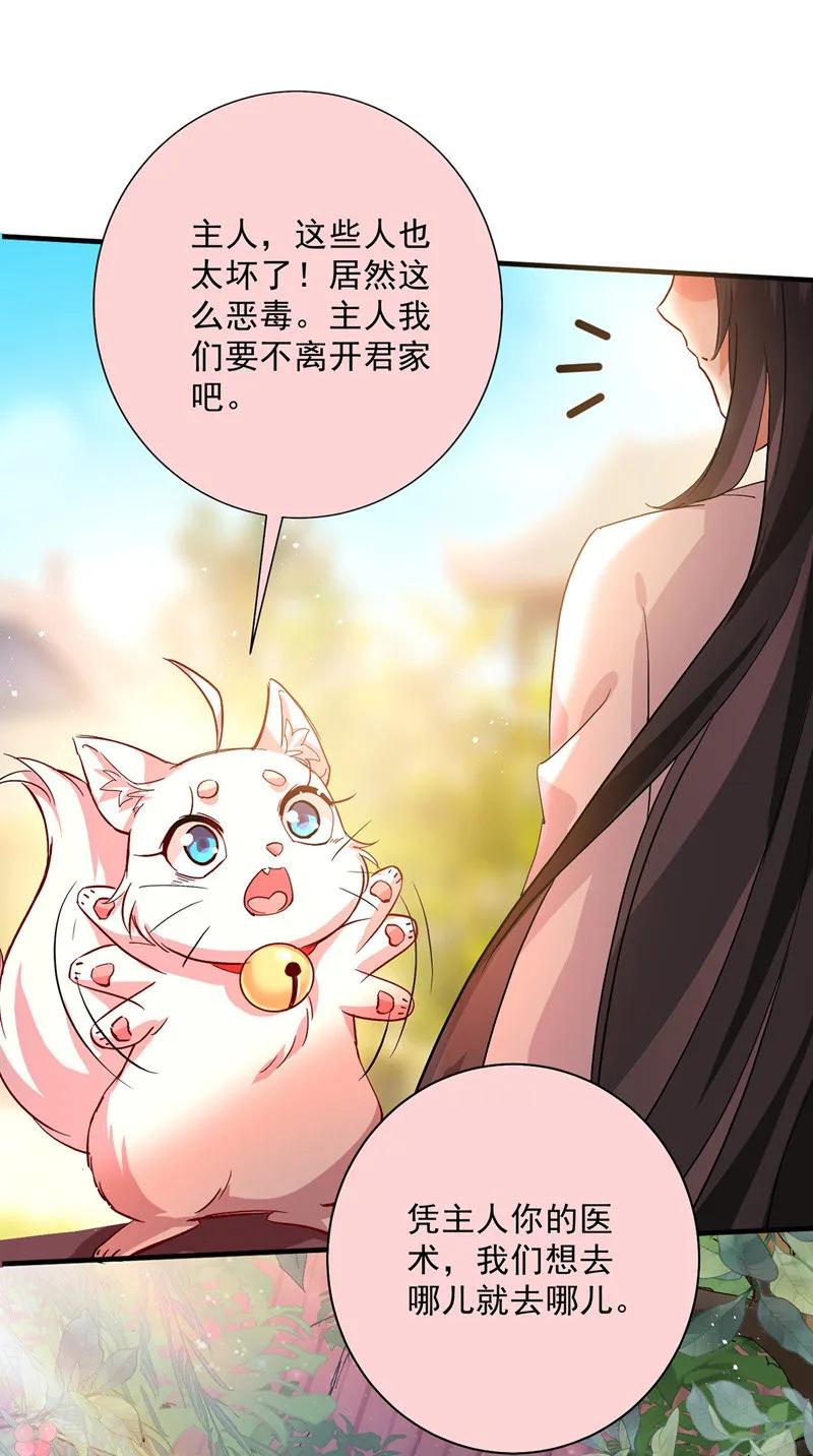 我在异界养男神：神医九小姐 第15话 丫鬟碧萝 第2页