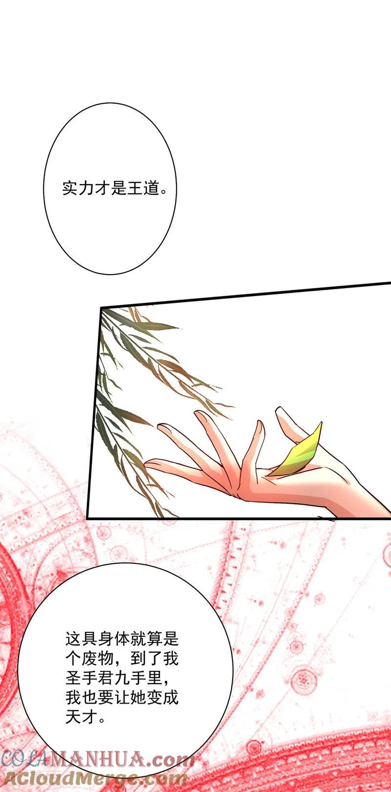 我在异界养男神：神医九小姐 第15话 丫鬟碧萝 第5页