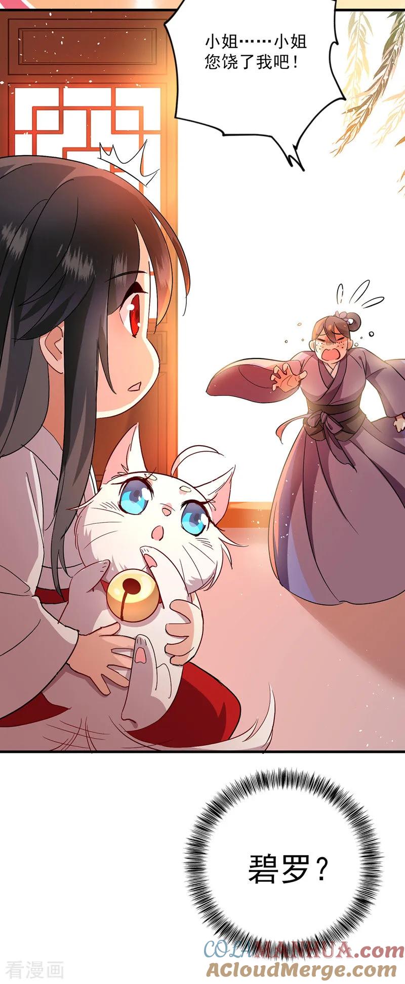 我在异界养男神：神医九小姐 第15话 丫鬟碧萝 第17页