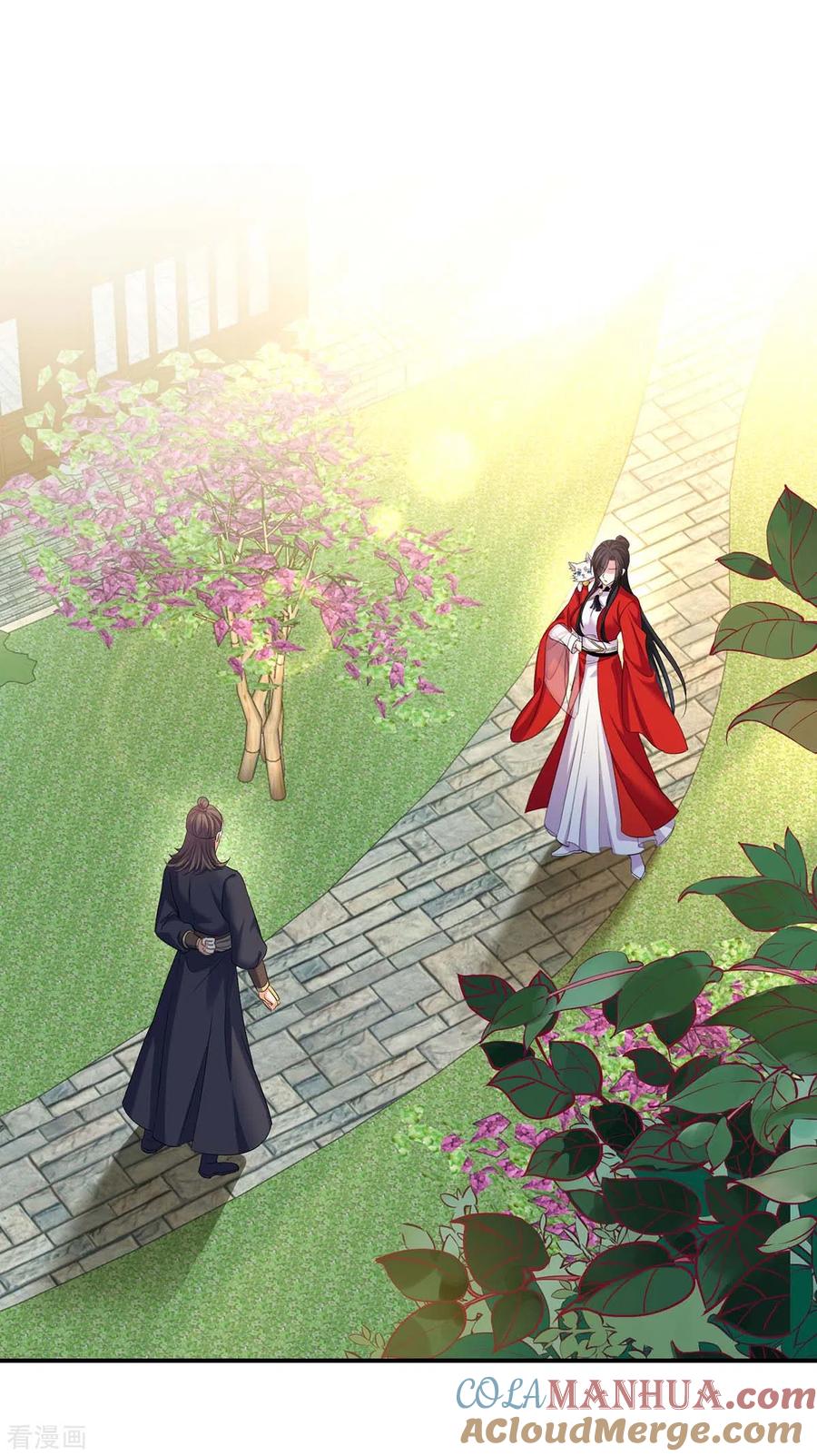 我在异界养男神：神医九小姐 第172话 暗器“暴雨” 第13页