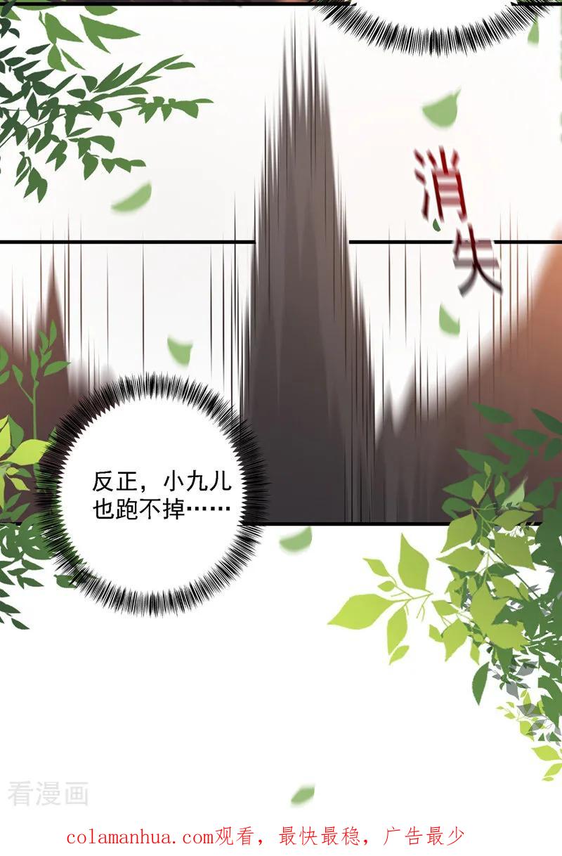 我在异界养男神：神医九小姐 第17话 洗劫财宝 第22页