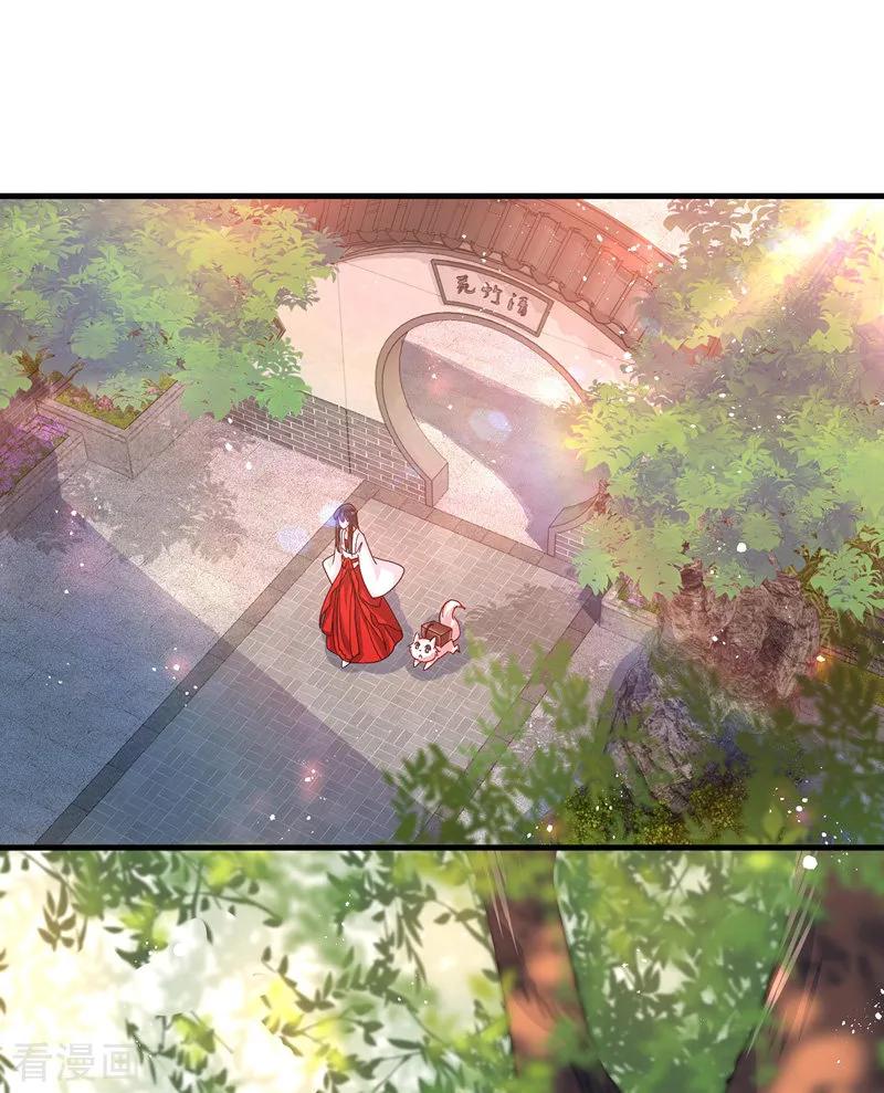 我在异界养男神：神医九小姐 第17话 洗劫财宝 第20页