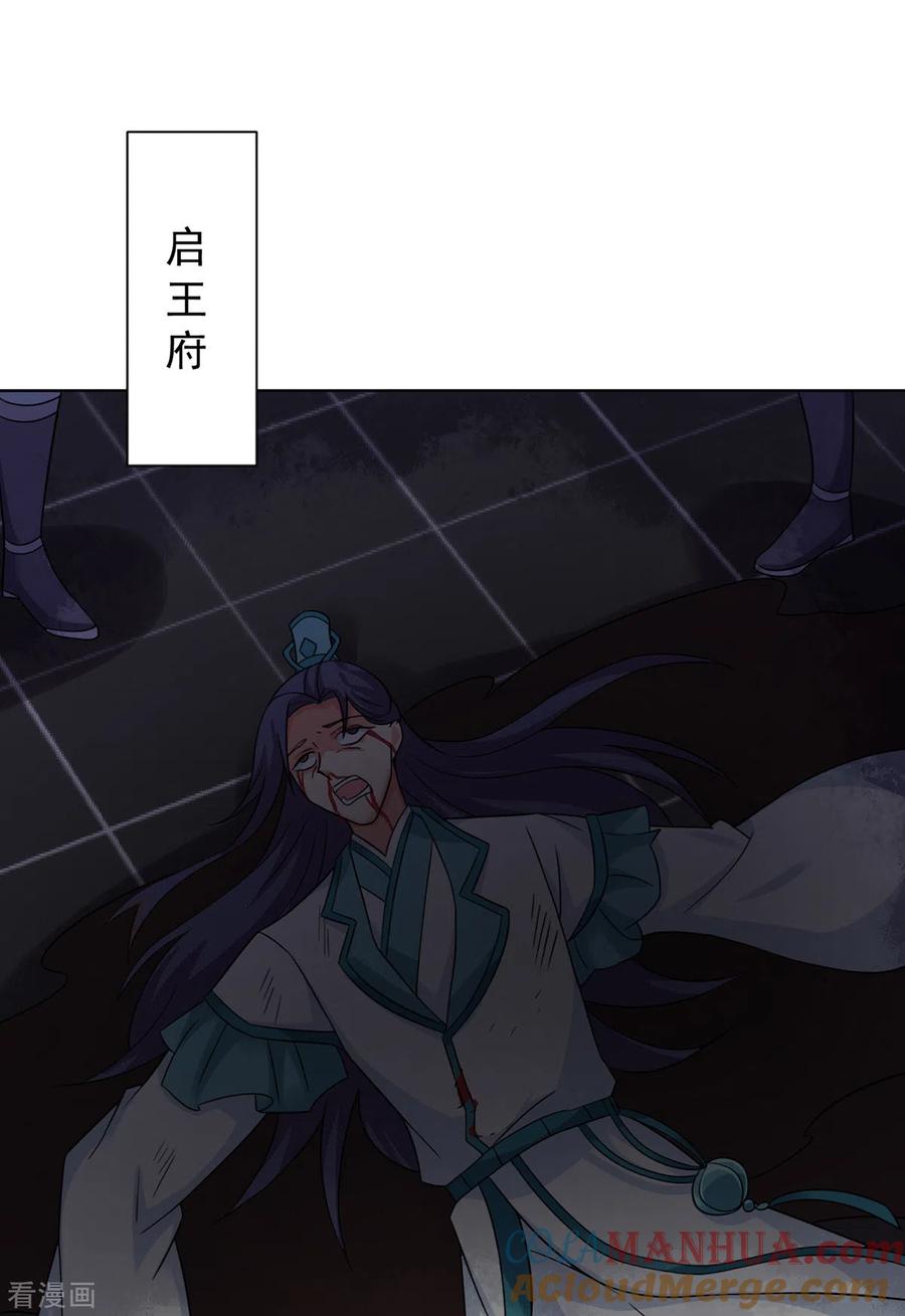 我在异界养男神：神医九小姐 第181话 凤天启之死 第27页