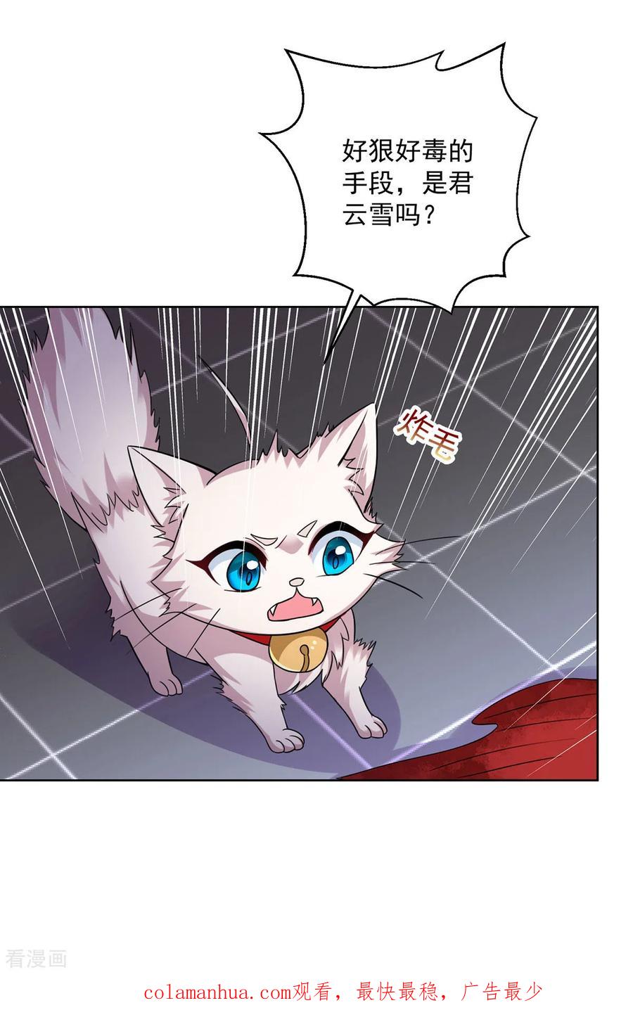 我在异界养男神：神医九小姐 第181话 凤天启之死 第30页