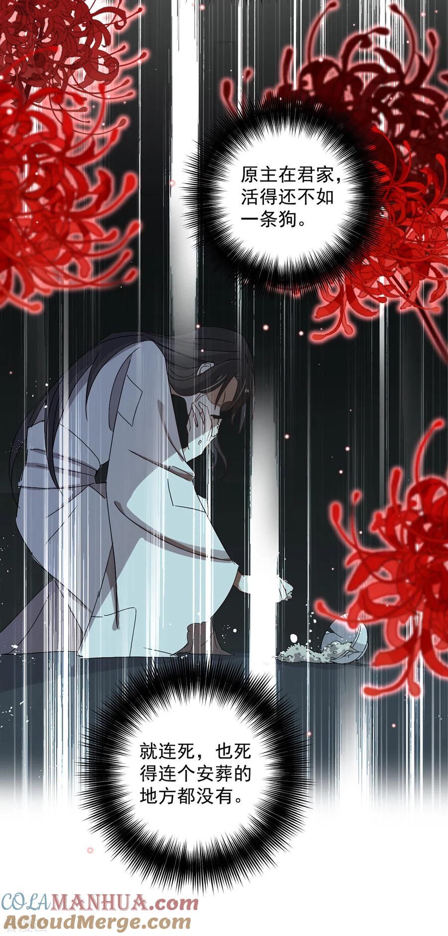 我在异界养男神：神医九小姐 第184话 鸡同鸭讲 第23页