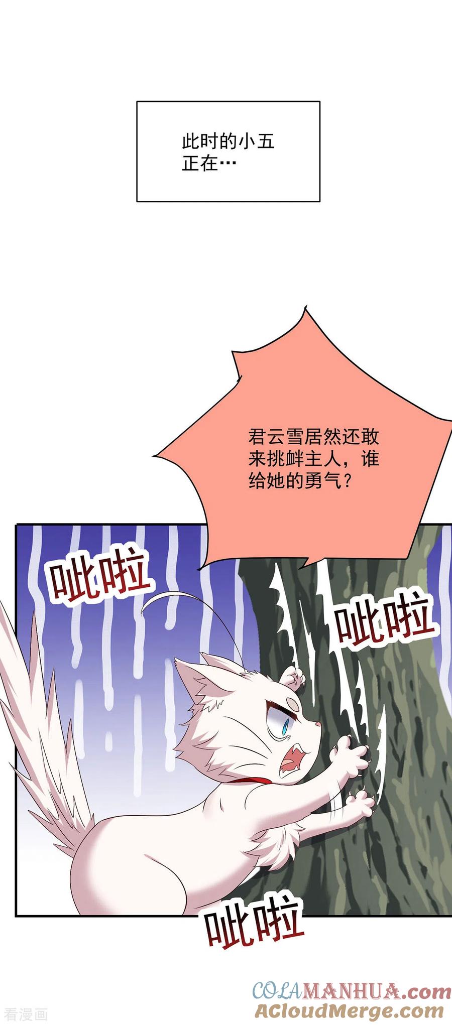 我在异界养男神：神医九小姐 第195话 调查夜行军 第19页