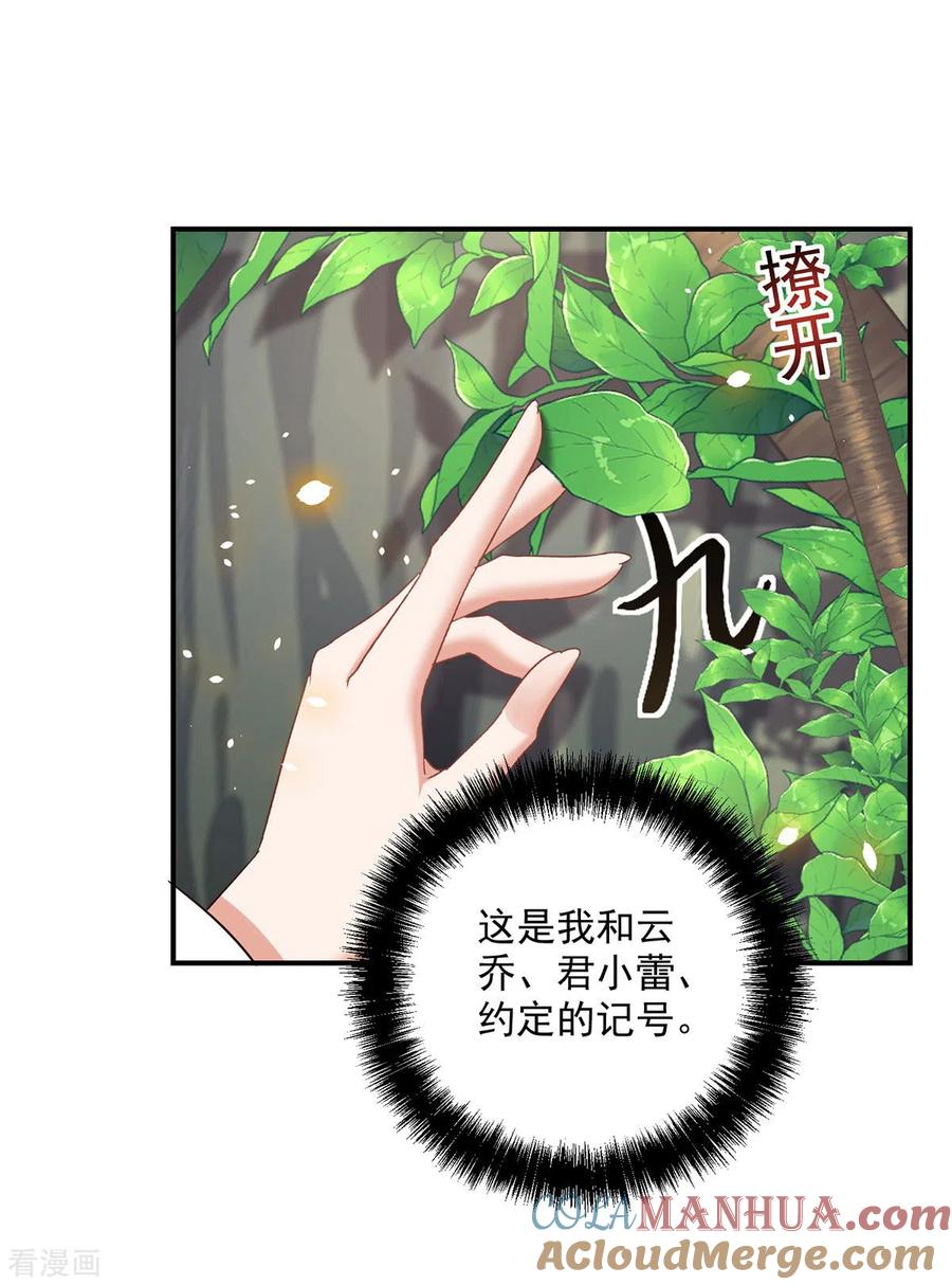 我在异界养男神：神医九小姐 第203话 冬迭花出现 第5页