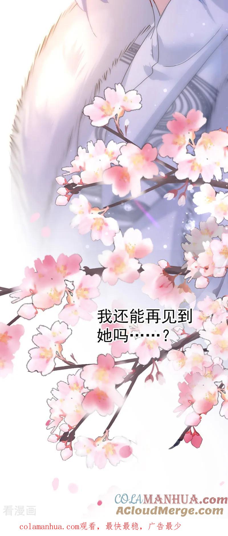 我在异界养男神：神医九小姐 第20话 云乔的信物 第27页