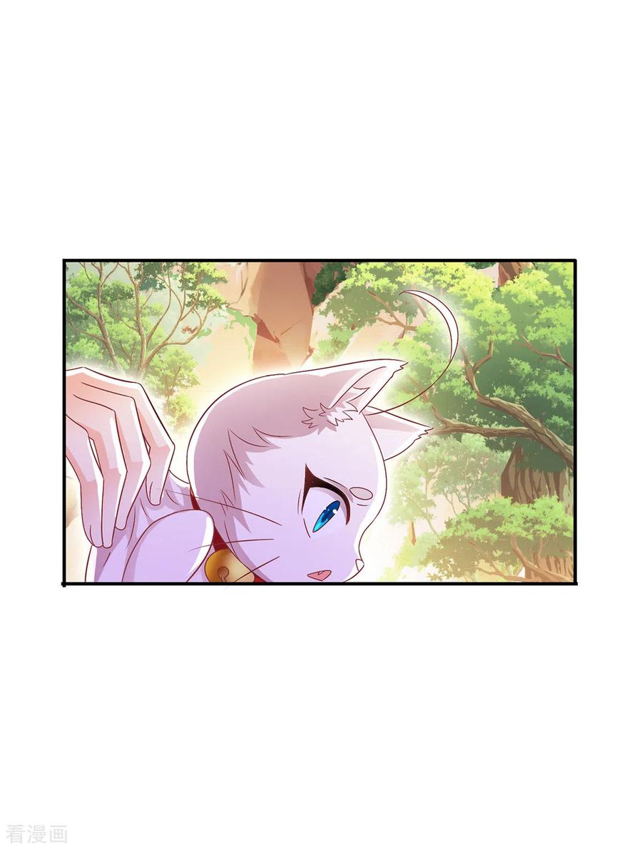 我在异界养男神：神医九小姐 第224话 欺喵太甚 第26页