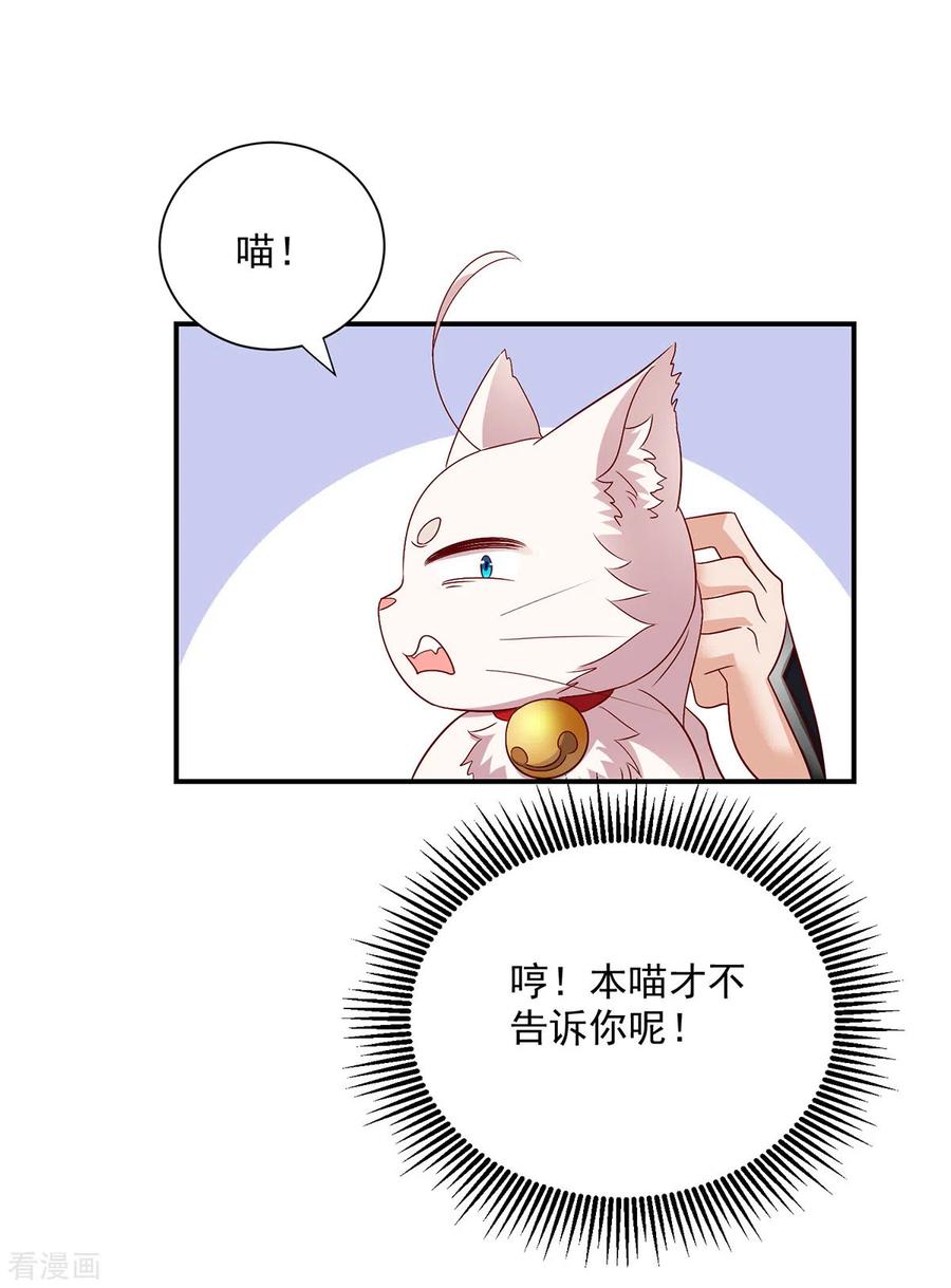 我在异界养男神：神医九小姐 第224话 欺喵太甚 第28页