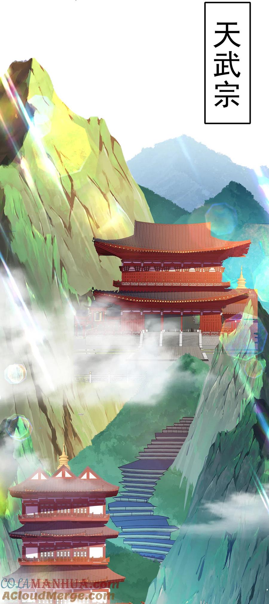 我在异界养男神：神医九小姐 第229话 天武宗 第9页